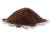 Aluminum Oxide 50lbs